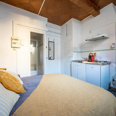 Bright Cocoon In The Heart Of * Béziers